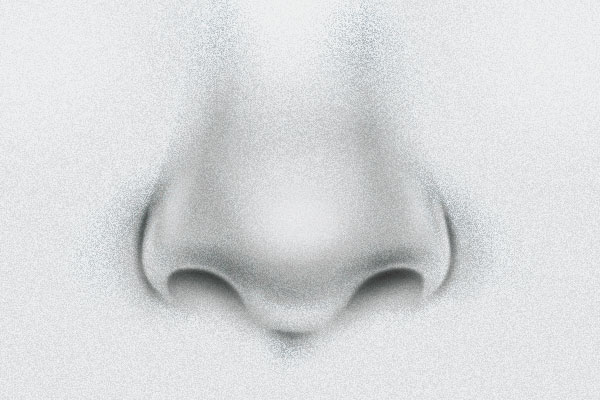 Image Source: weizmann