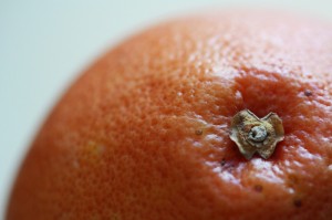 Image Source: Flickr
