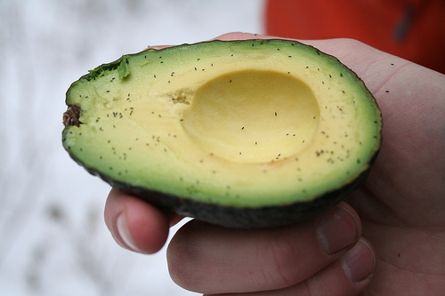 avocado
